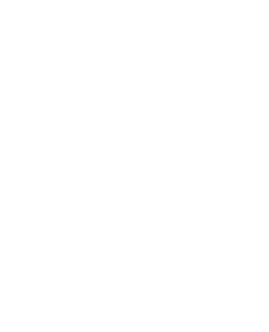 irundi projects logo